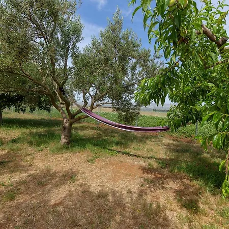 Kucica Za Odmor Kampi